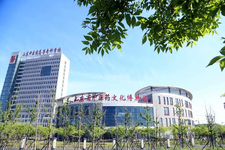 山东中医药高等专科学校校园实景