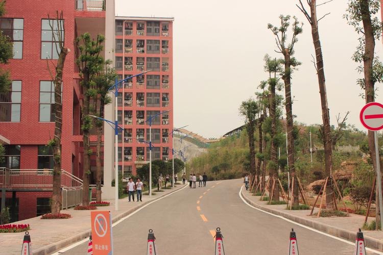 重庆文化艺术职业学院校园实景